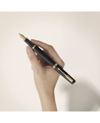 Parker Meridian Black Gold Trim Vulpen
