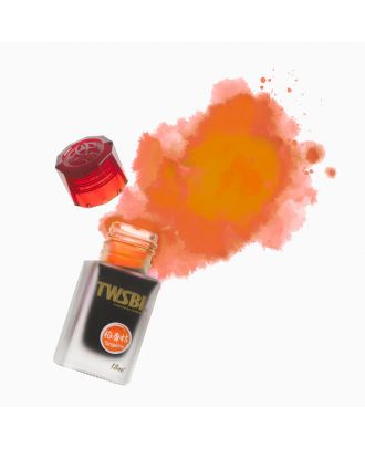 Pilot Iroshizuku Inkt Take-Sumi - Zwart