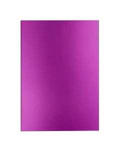 Caran d'Ache Colormat-X Notitieboek Violet