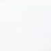 Blackwing Pearl Wit Potlood (Set van 12)