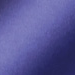 Pilot Capless Stainless Steel Purple Vulpen